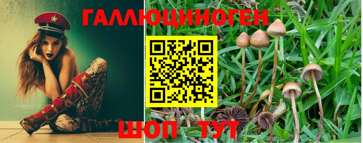 Псилоцибиновые грибы Magic Shrooms  Галлюциногенные грибы мицелий  Кувандык  Вход с VPN 